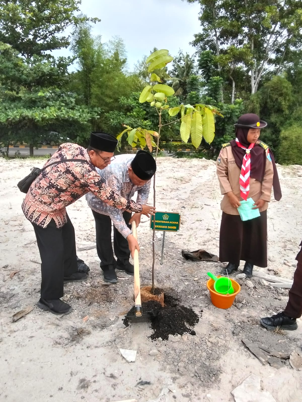Tanam Pohon Matoa, MTs Negeri 1 Kota Jambi Dukung Gerakan Kemenag Hijaukan Indonesia